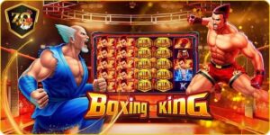 Boxing King Zozo68 – Đấu Trường Cá Cược Quyền Anh Mãn Nhãn